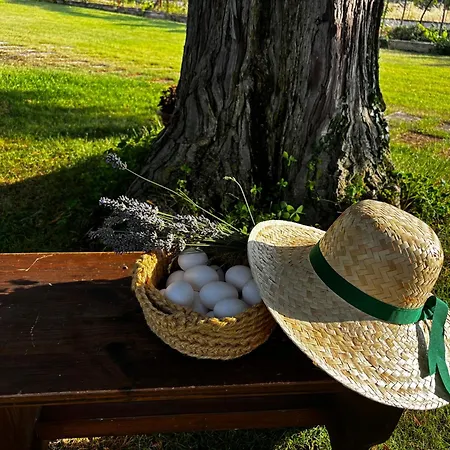 La Dei Nonni * Introdacqua