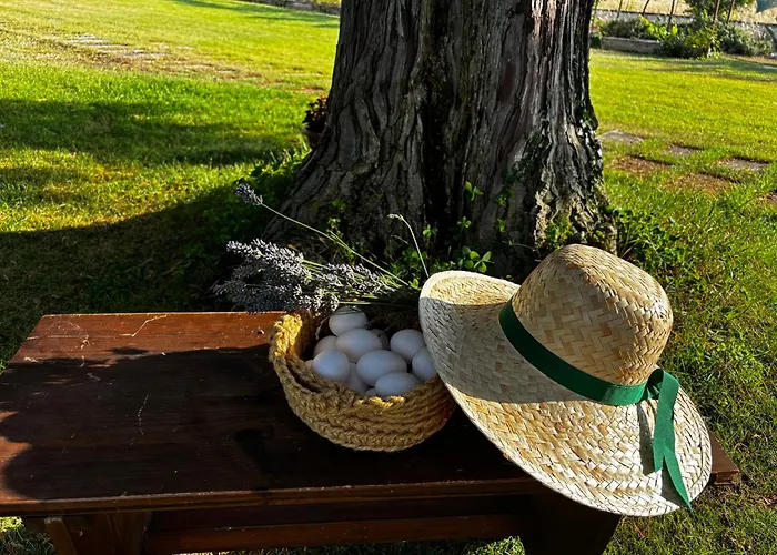 La Dei Nonni * Introdacqua